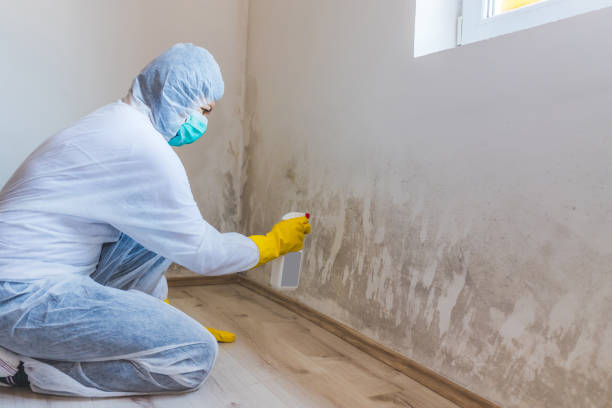 Commercial Mold Remediation assessment for commercial property in Moorestown