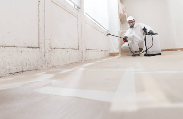 Black mold remediation team in Moorestown